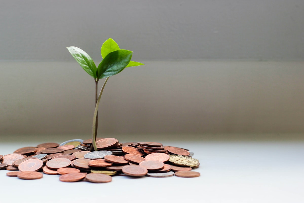 Loans and Debts Rescheduling